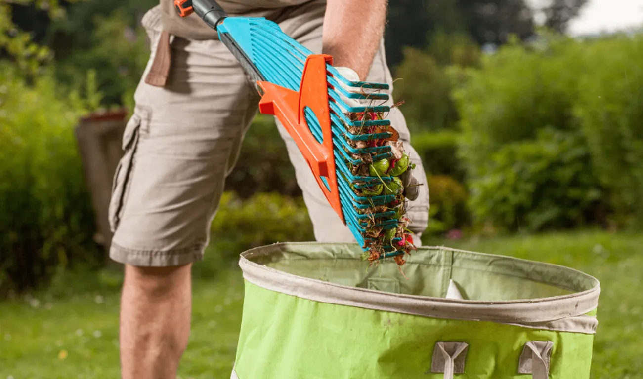 Yard Waste Removal